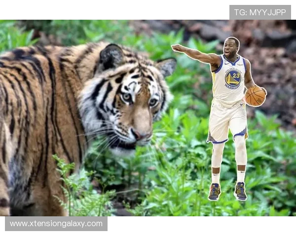 弗拉霍维奇：从新星到核心中锋的荣誉与责任解析